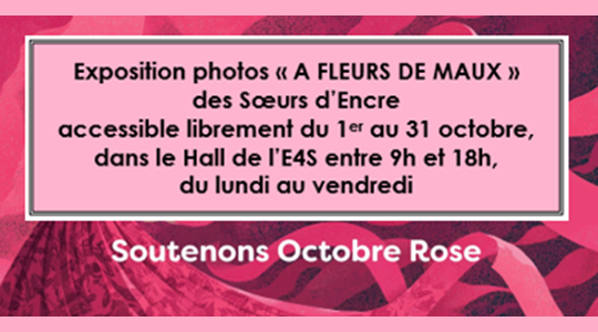 MLC Mutuelle / Exposition photos des Sœurs d'Encre
